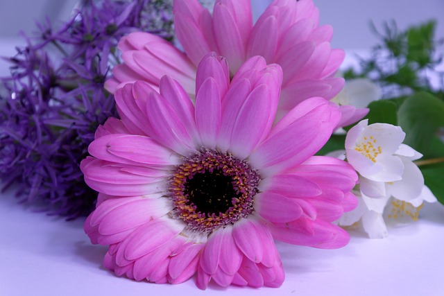 fragrance